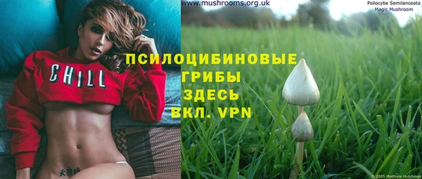 мяу мяу мука Осинники