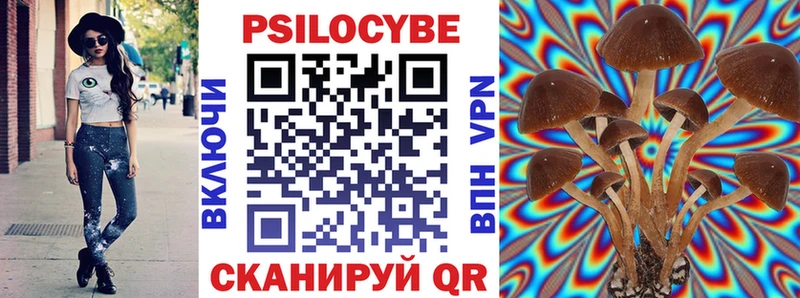 Псилоцибиновые грибы прущие грибы Сосновка