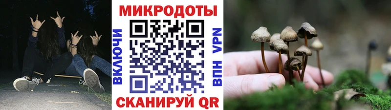 Псилоцибиновые грибы GOLDEN TEACHER  купить наркотики цена  Сосновка 